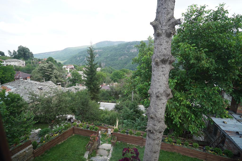 Вілла Pisanata House Dedovo Екстер'єр фото