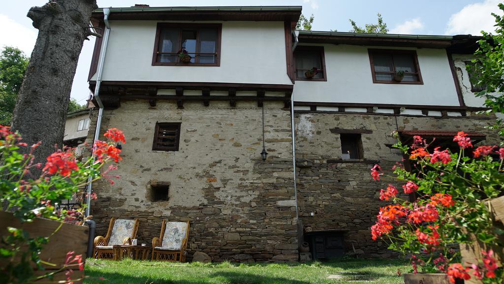 Вілла Pisanata House Dedovo Екстер'єр фото