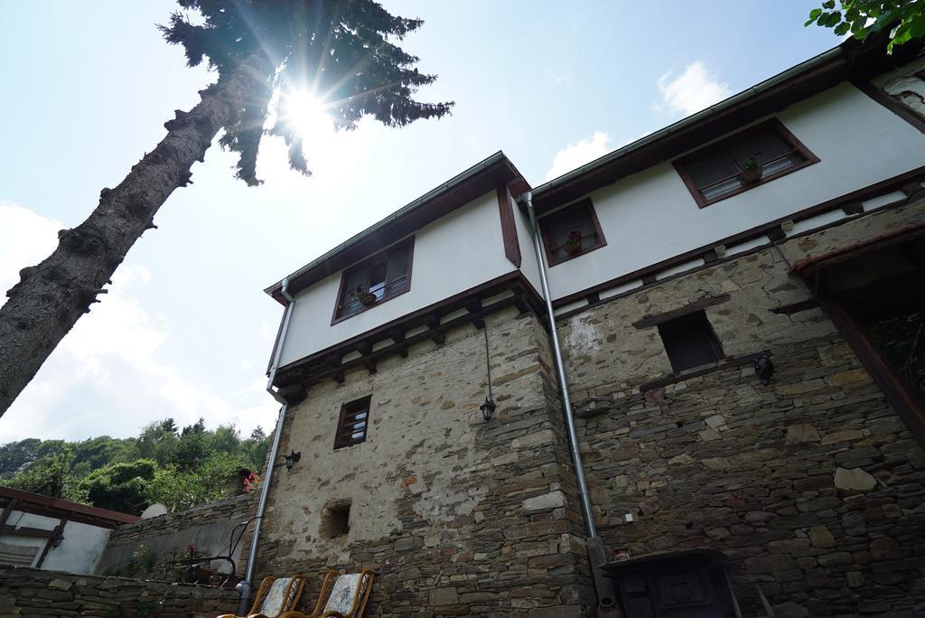 Вілла Pisanata House Dedovo Екстер'єр фото